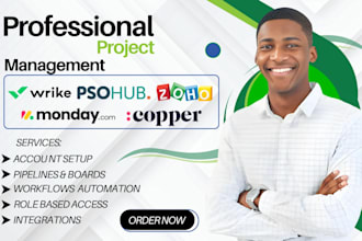 setup psohub copper project management wrike zoho monday crm workflow automation