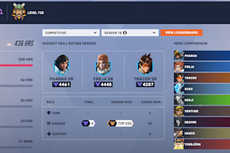 coach you as a top500 overwatch player