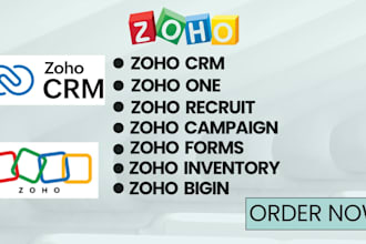 set up zoho CRM, inventory, recruit, forms, zoho one, desk, campaigns, bigin
