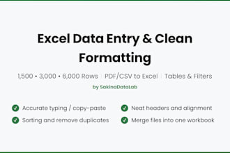 do accurate excel data entry, formatting, and table setup