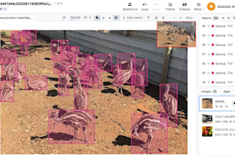do image annotation using bounding box, polygon, segmentation, and keypoint
