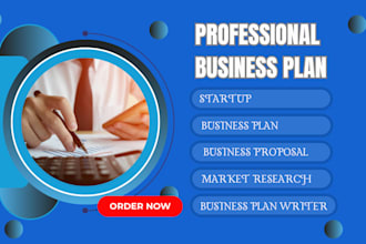 write a business plan, business proposal business plan writer, financial plan