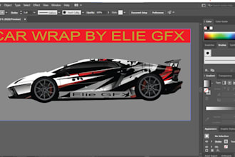 do car wrap ,van wrap ,plane wrap