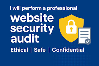 perform a professional website security audit