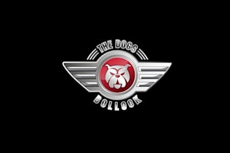 make top quality fantastic logo for new car care product