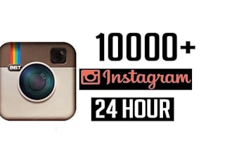 buy 10,000 instagram followers organically