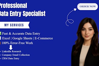 do accurate excel and ecommerce data entry for your business