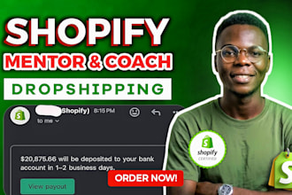 be shopify dropshipping mentor dropshipping coach VA ebay dropshipping mentor