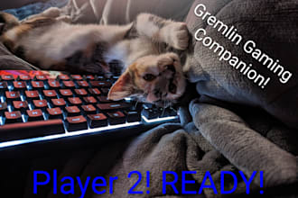 hang out and enjoy playing games with you