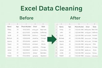 do excel data cleaning, formatting, and removing duplicates