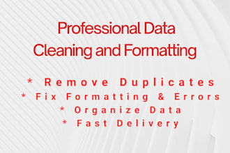 data cleaning and data formatting