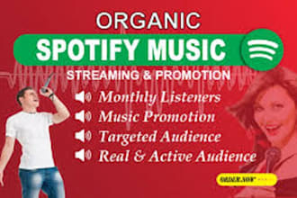 do spotify music promotion music marketing song promotion