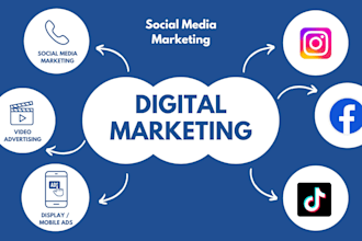 do professional social media setup and integration