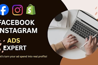 setup targeted facebook and instagram ads for leads and sales