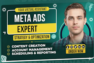 professional meta ads expert