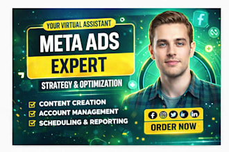 professional meta ads expert