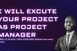 execute your project as a project manager