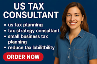 be US tax advisor, tax planning, US tax filing for llc businesses form 1120 1065