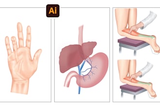 create medical illustration books, journals and manuscripts