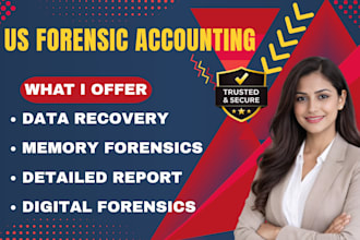 do digital forensics, malware and log analysis, cyber crime investigation