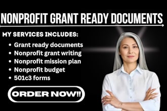 create nonprofit grant ready documents, mission plans, budgets, and 501c3 forms