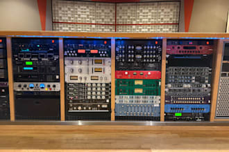 process and mix your song through analog SSL console and outboard gear