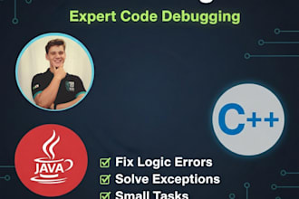 java bug, c code, or small programming task