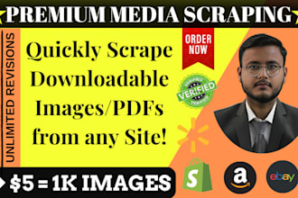 scrape and organize downloadable images and pdfs from any website automatically