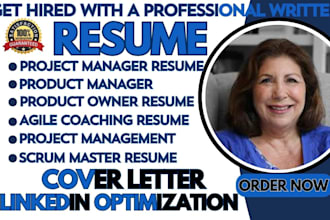 do executive project management resume writing pmp, program manager