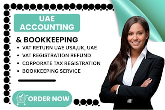 prepare uae tax returns and handle corporate tax filing and bookkeeping