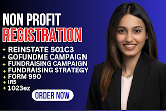 setup and reinstate your nonprofit 501c3 and build a fundraising strategy in 24h