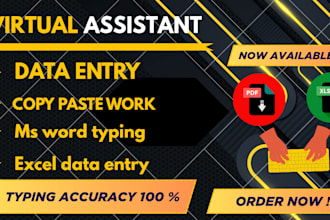 do data entry, copy paste, ms word, excel typing available now
