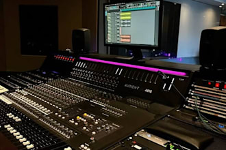 be your male latin pop singer or usa country and edm vocalist