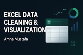 do data entry, data cleaning, and data visualization in excel