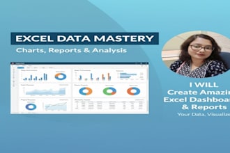 create excel charts and professional excel dashboard