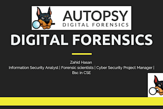perform professional digital forensics and artifact analysis