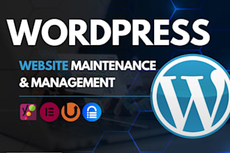 do wordpress website maintenance and management