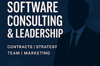 business and IT strategy consulting, software project management