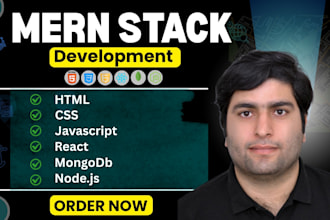 develop custom website development and backend