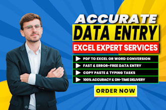 do data entry, excel expert, pdf to excel, copy paste, typing, excel data entry
