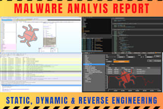 perform malware analysis and a technical detailed report