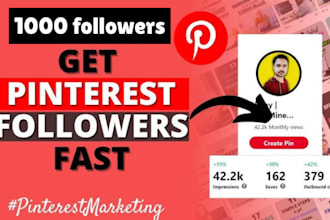 provide 1000 pinterest followers real and guaranteed