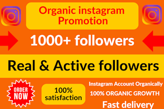 increase social media followers