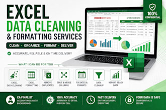 clean, format, and organize your excel data professionally