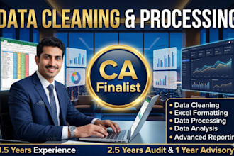 data cleaning, data processing, excel formatting, reporting