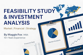 prepare a detailed feasibility study and project investment report