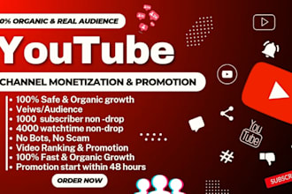 do organic youtube channel promotion for monetization, channel SEO