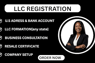 register US llc, llc formation, company formation for US or non US residents