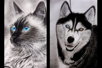 create amazing drawings of your pets with pencil
