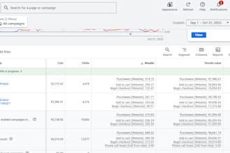 setup and manage google shopping ads for shopify ecommerce